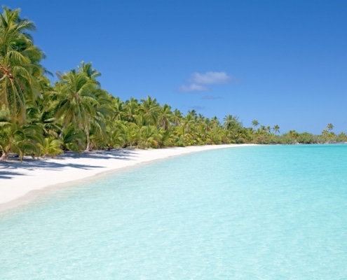 A tropical beach with clear turquoise water and soft white sand, lined with lush green palm trees under a bright blue sky—perfect for those seeking luxury New Zealand holidays in an idyllic, serene paradise.