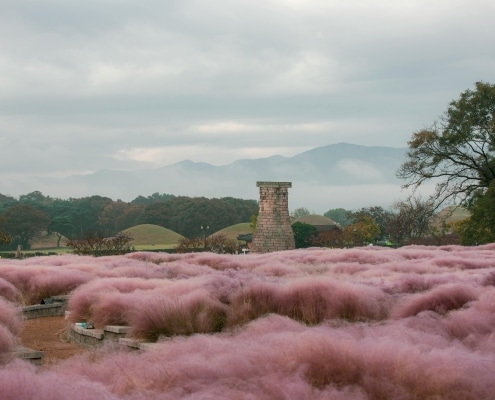 A stone observatory stands amid a field of pink muhly grass, with misty mountains and a cloudy sky behind—an enchanting scene perfect for holidays in South Korea.